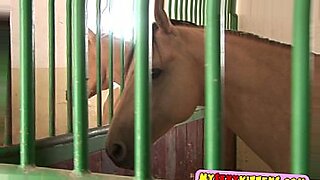 horse and girl meating