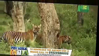tiger zinda hai fucking