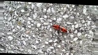 amateur playing with worms sex